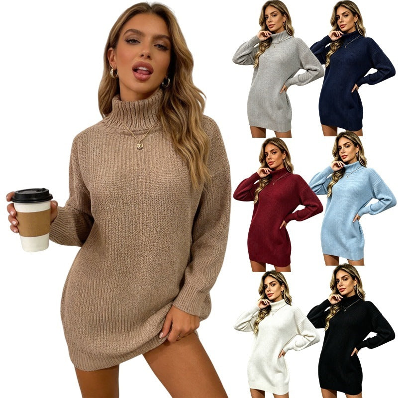 Turtleneck Rib Knit Sweater Dress
