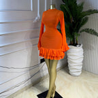 Ruffle Hem Mesh Mini Dress