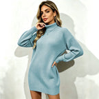 Turtleneck Rib Knit Sweater Dress