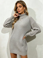 Turtleneck Rib Knit Sweater Dress